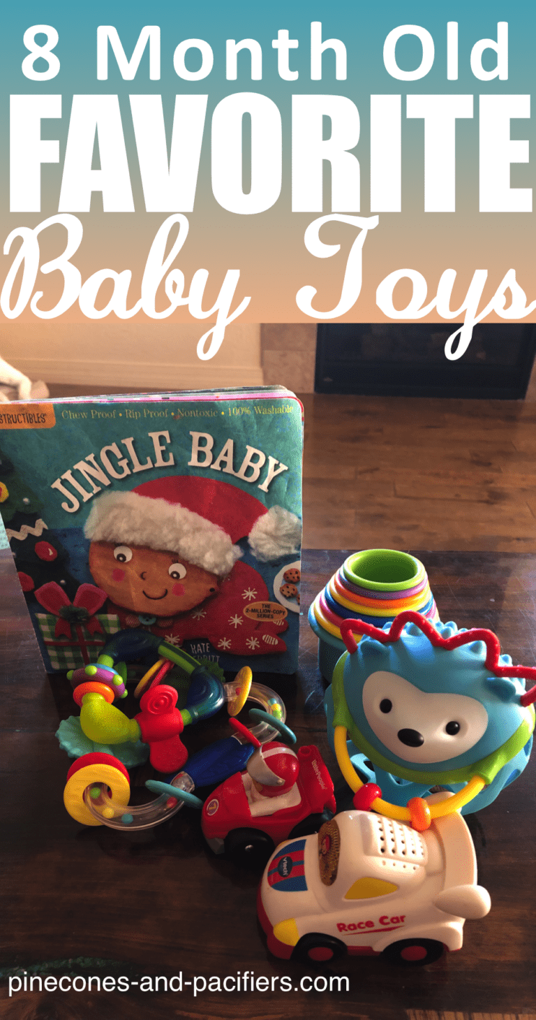 Top 8 Month Old Toys 8 Toy Ideas Pinecones & Pacifiers