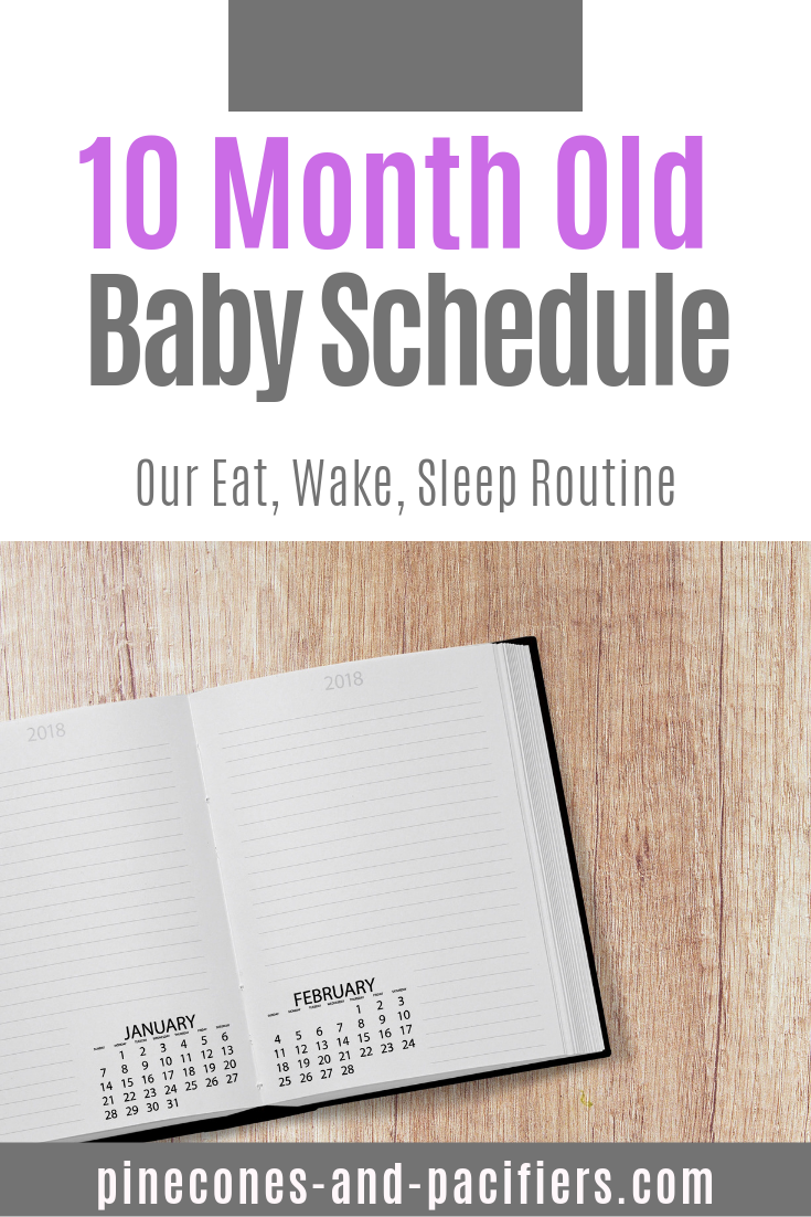 10 Month Old Schedule Pinecones Pacifiers