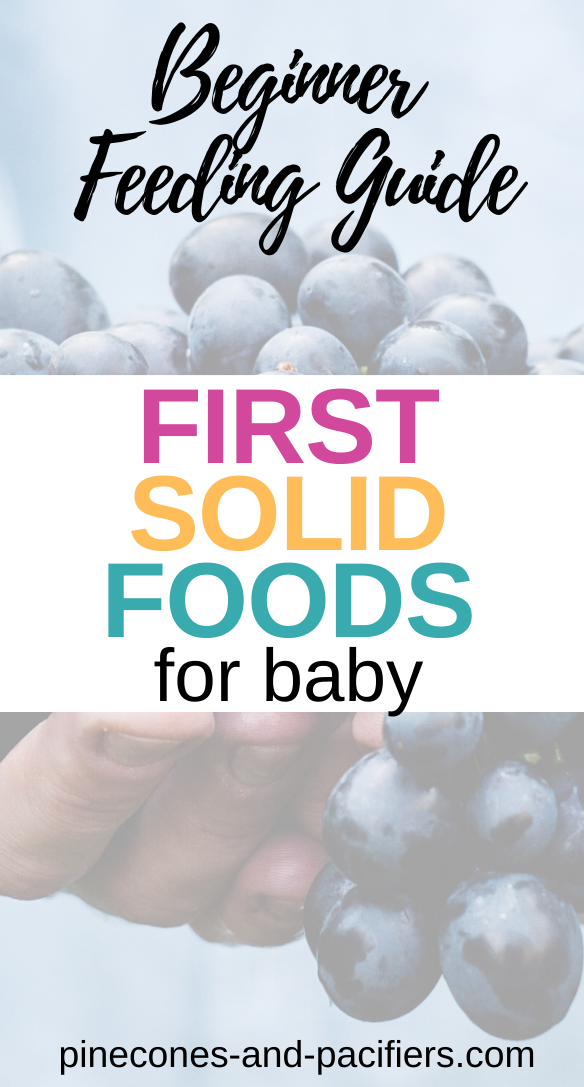 Baby s First Solid Foods Pinecones Pacifiers