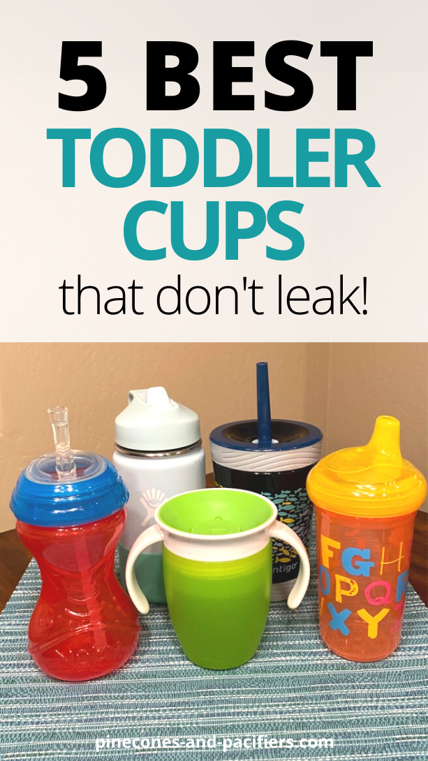 Best Toddler Cups that Don't Leak Pinecones & Pacifiers
