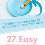 27 Easy Toddler Lunches