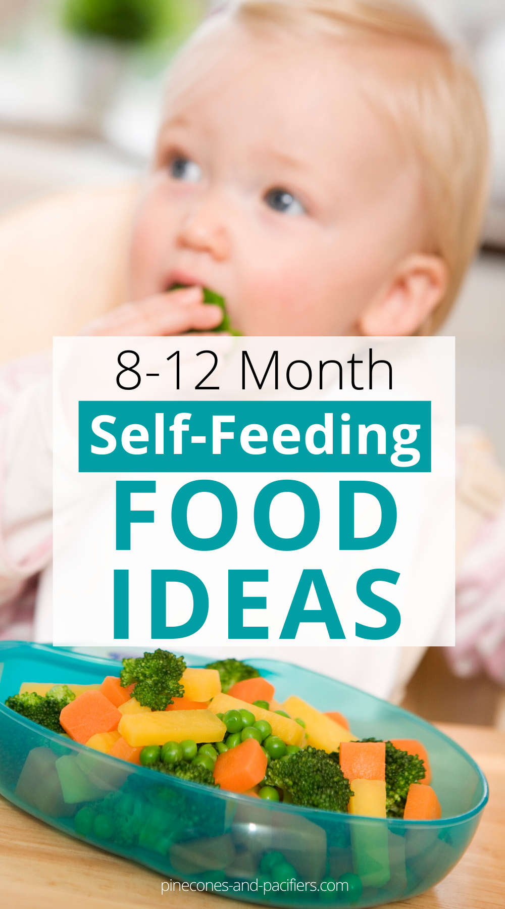 Easy Meal Ideas for Babies 8-12 months - Baby Led Weaning - Pinecones