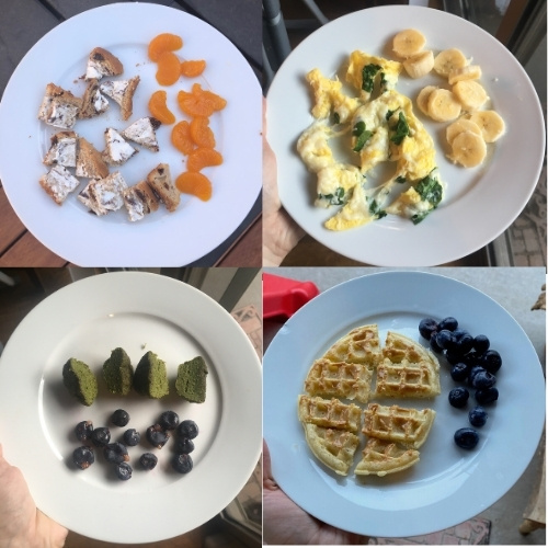 Self-Feeding 12-16 Months: toast with cream cheese, scrambled eggs ad spinach, toddler muffin, waffle