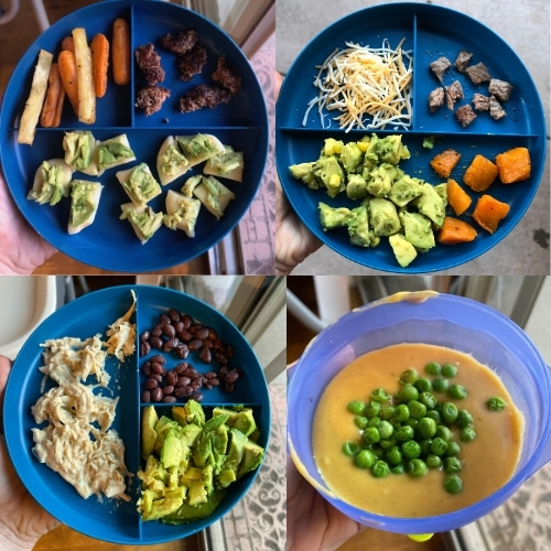 Self-Feeding 12-16 Months: avocado naan bread, deconstructed taco plate, pulled chicken, soup