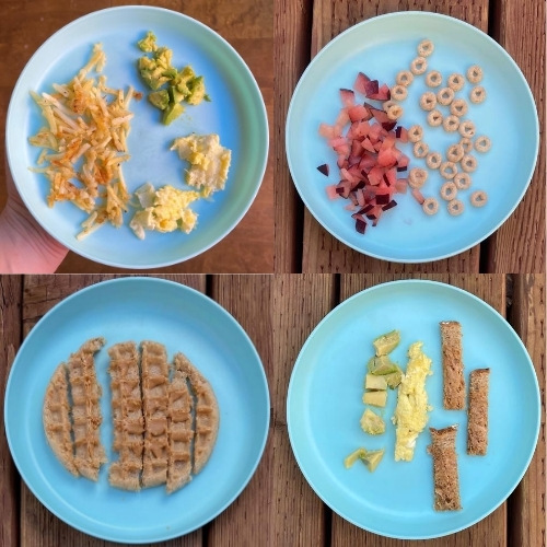 8 Month Old Self Feeding Breakfast Ideas