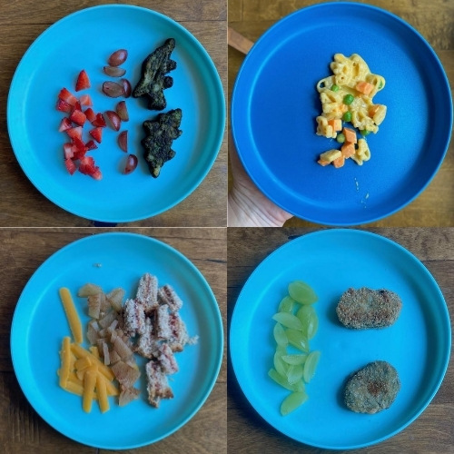 8 Month Old Self Feeding Lunch Ideas