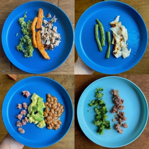 8 Month Old Self Feeding DInner Ideas