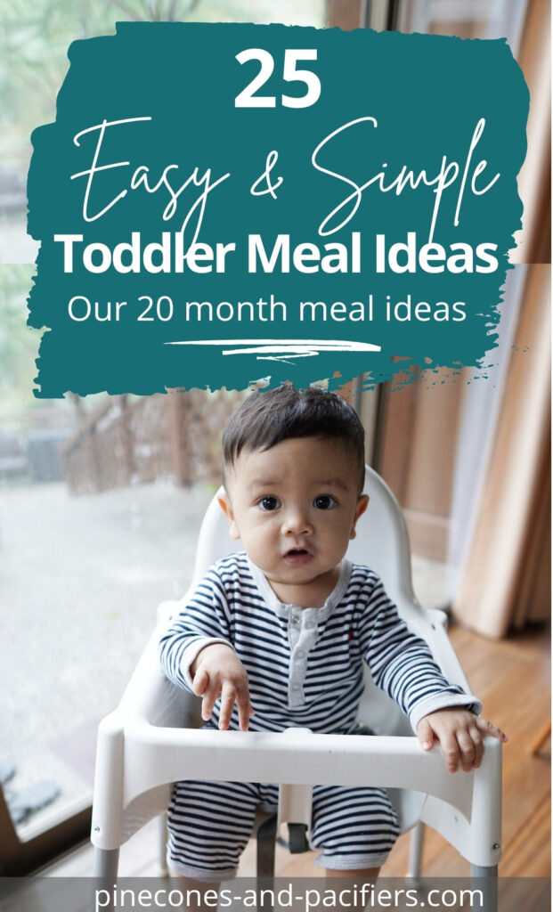 25 Easy & Simple Toddler Meal Ideas - our 20 month old meal ideas
