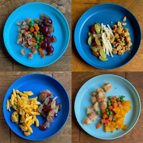 10 month old meal ideas (4 meals)