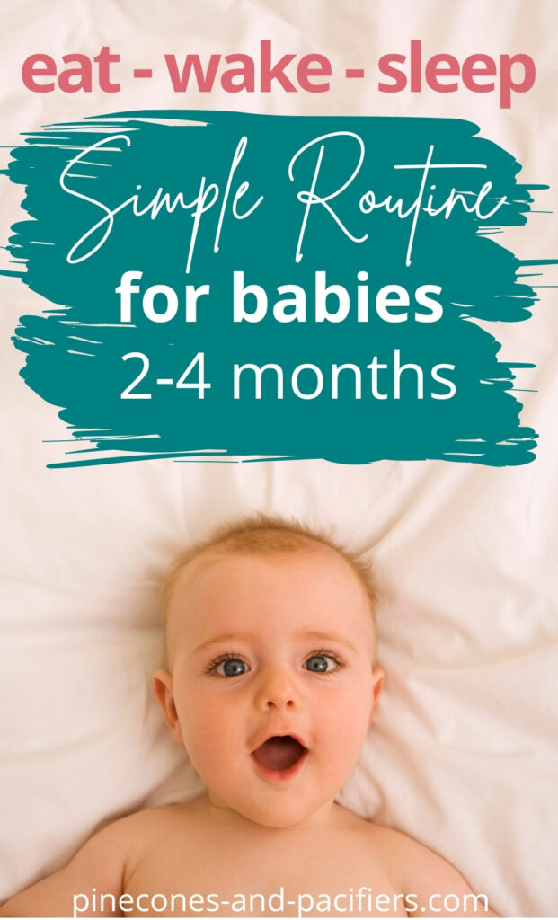 Exemplo de Rotina para os bebês de 2 a 4 meses de idade