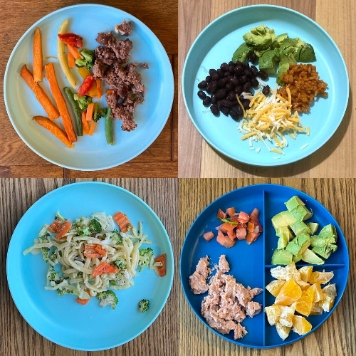 10 month old meal ideas graphic