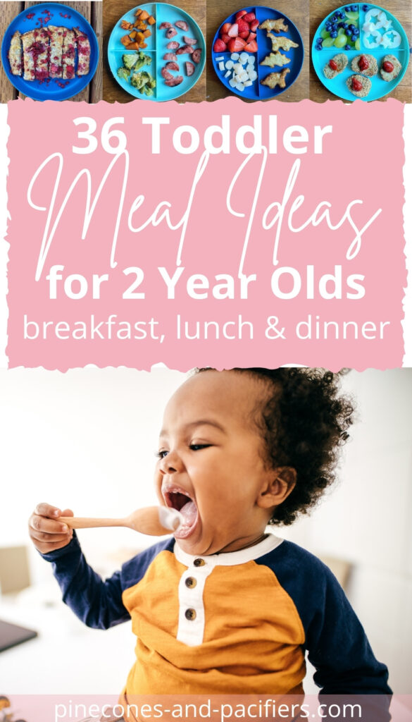 26 Toddler Meal Ideas for 2 Year Olds; Breakfast, Lunch & Dinner