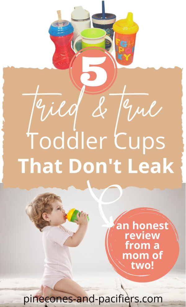 Best Toddler Cups that Don't Leak Pinecones & Pacifiers