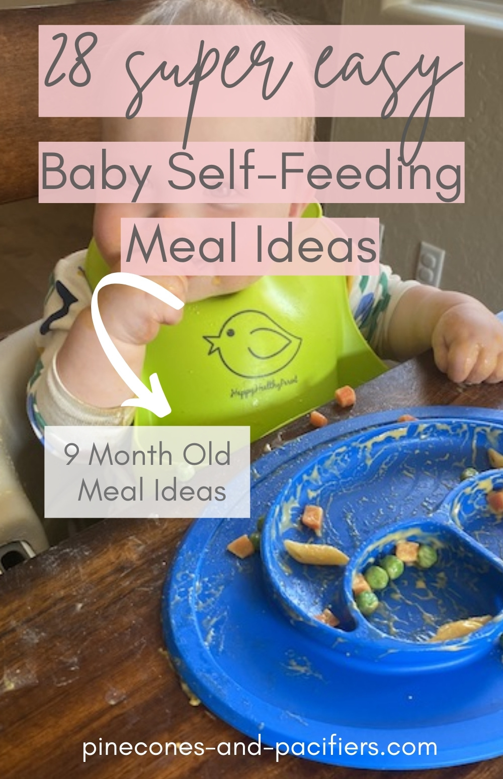 9-month-old-self-feeding-food-ideas-pinecones-pacifiers