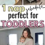 One nap toddler schedule pin graphic