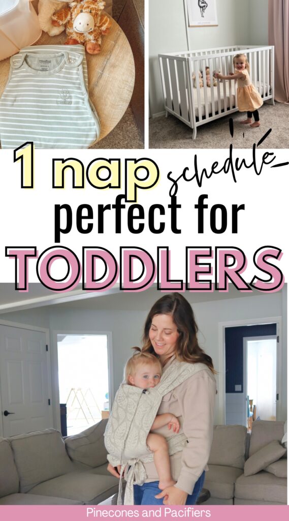 1 nap toddler schedule graphic