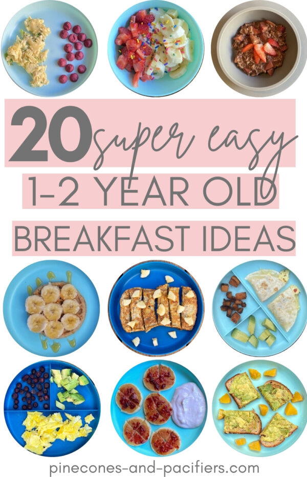 20 Breakfast Ideas for 12 Year Olds Pinecones & Pacifiers