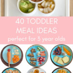 40 Toddler Meal IDeas for 3 Year Olds with plates