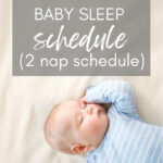 graphic for 6 month old sleep schedule with baby sleeping