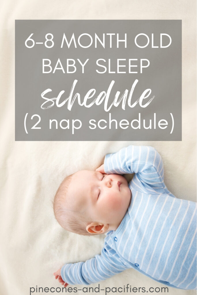 Graphic for 6 month old schedule with baby sleeping.