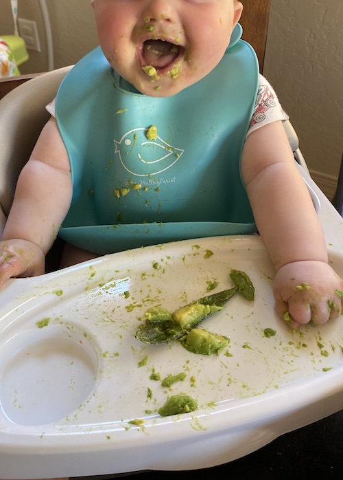 Baby eating avocado in high chair.