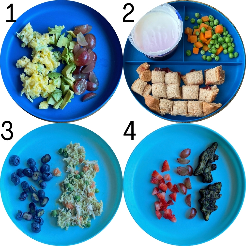 Four baby lunch ideas with plates