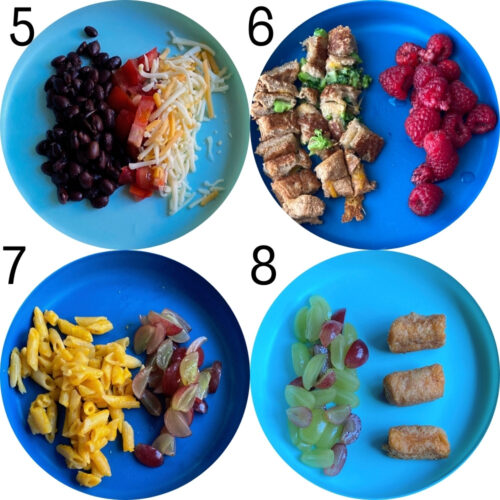 20 Easy Self-Feeding Baby Lunch Ideas - Pinecones & Pacifiers