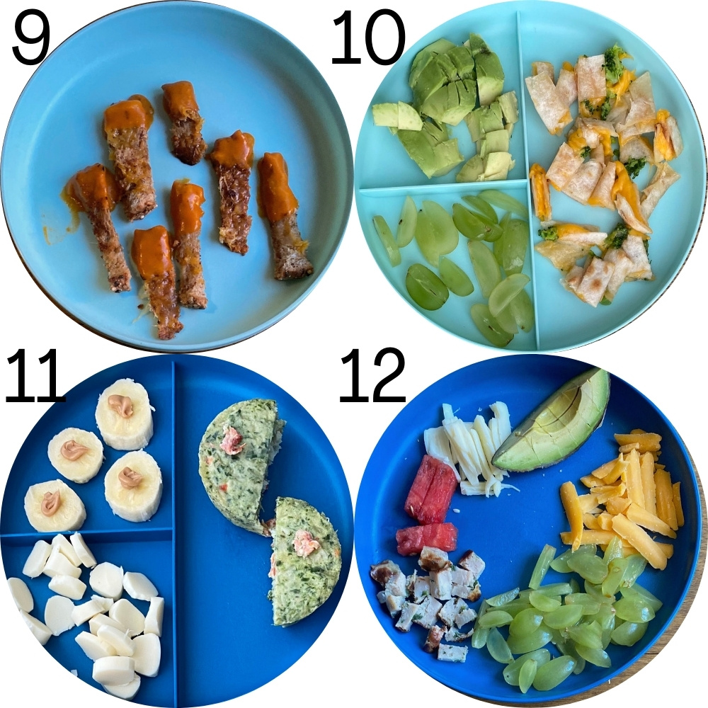 Self-feeding baby lunch idea plates