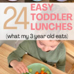 24 Toddler Lunches