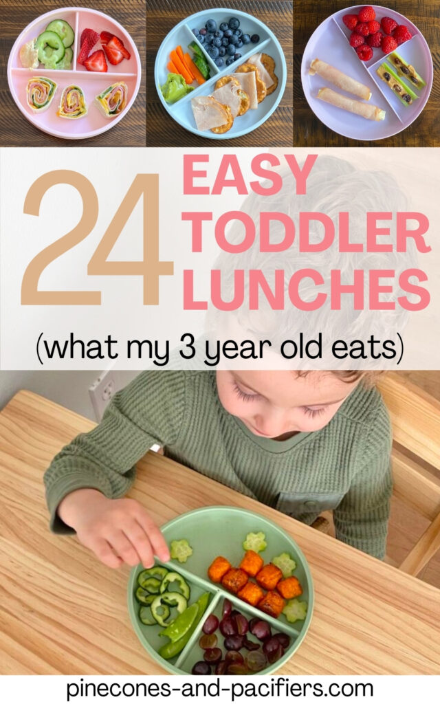 25+ Easy Toddler Lunch Ideas for Daycare - Pinecones & Pacifiers