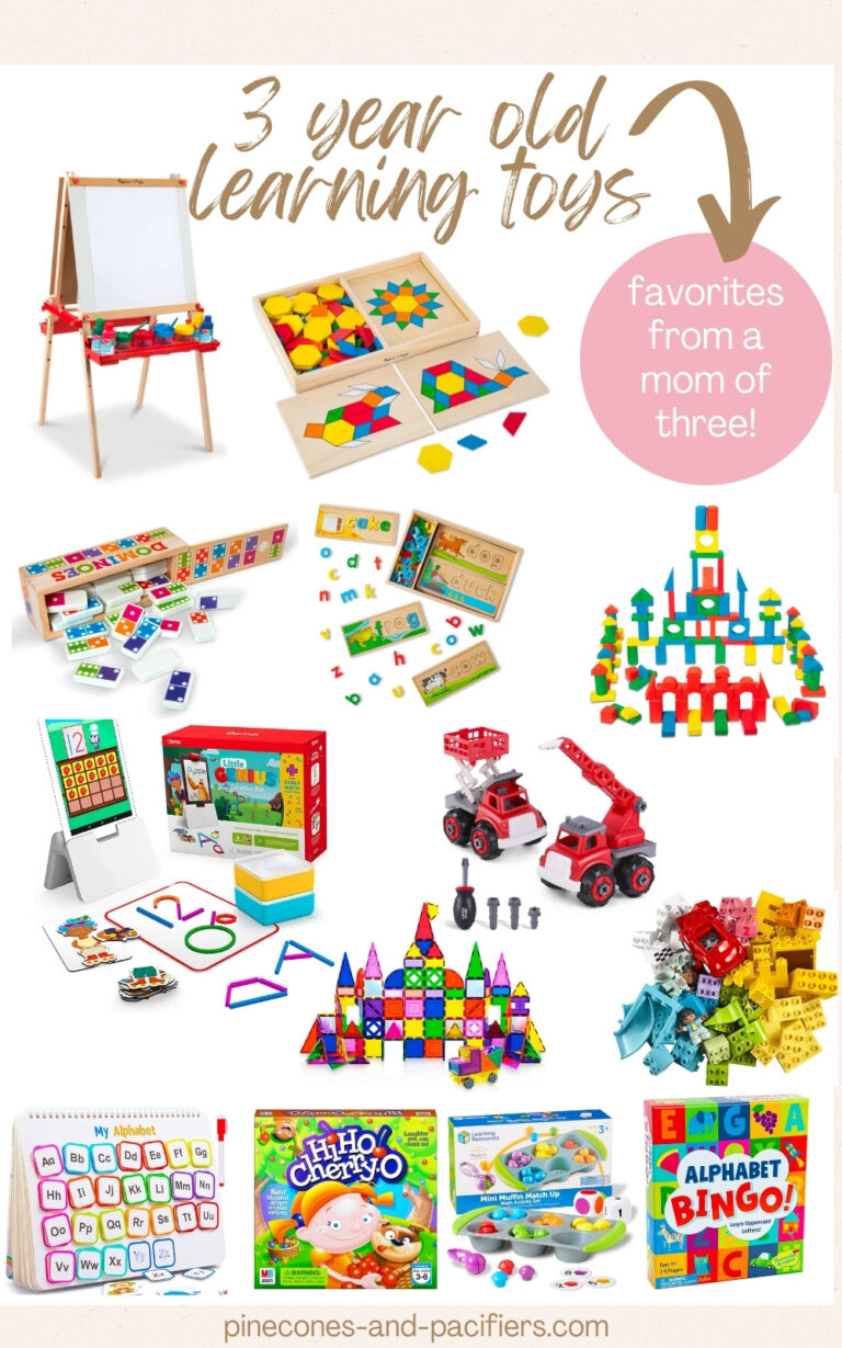 Best Learning Toys for 3YearOlds Pinecones & Pacifiers