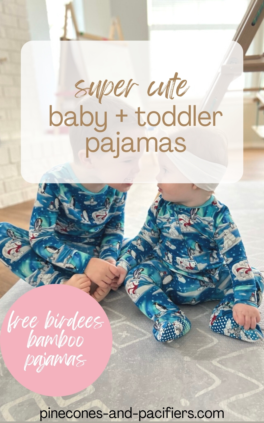 Free Birdees Bamboo Pajamas Review - Pinecones & Pacifiers