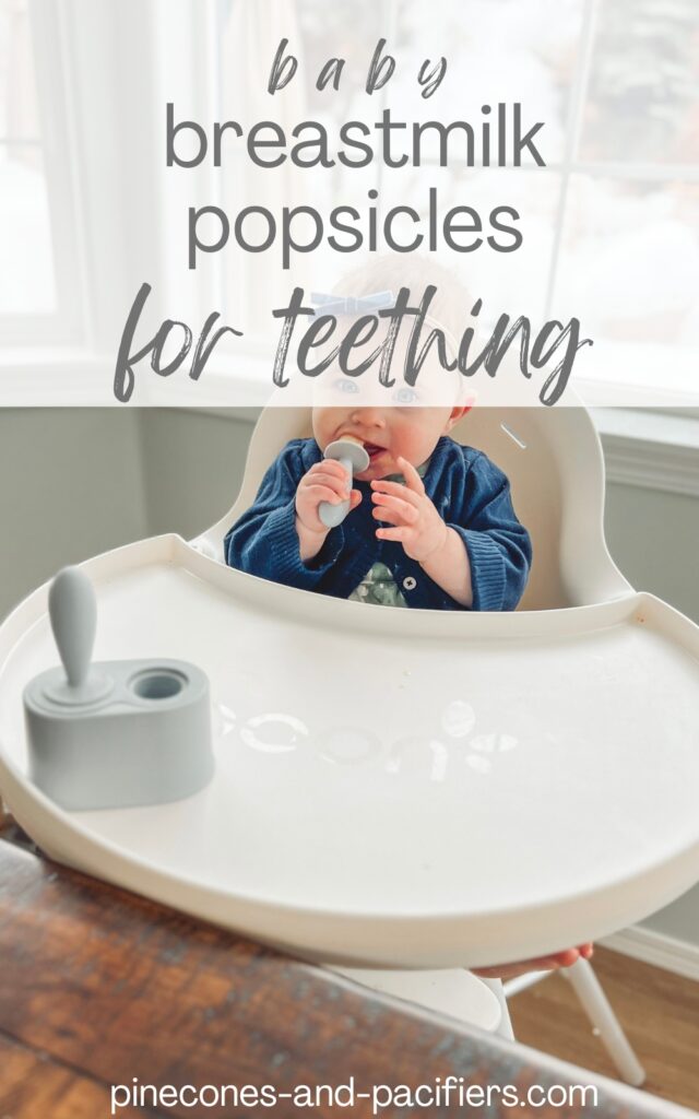 Breastmilk Popsicles: A Summer Must! – Motherlove Herbal Company