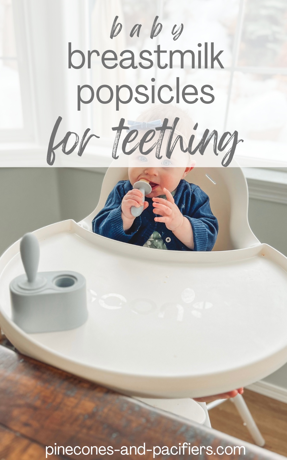 Breastmilk Popsicles for Teething (or Snack) Pinecones & Pacifiers