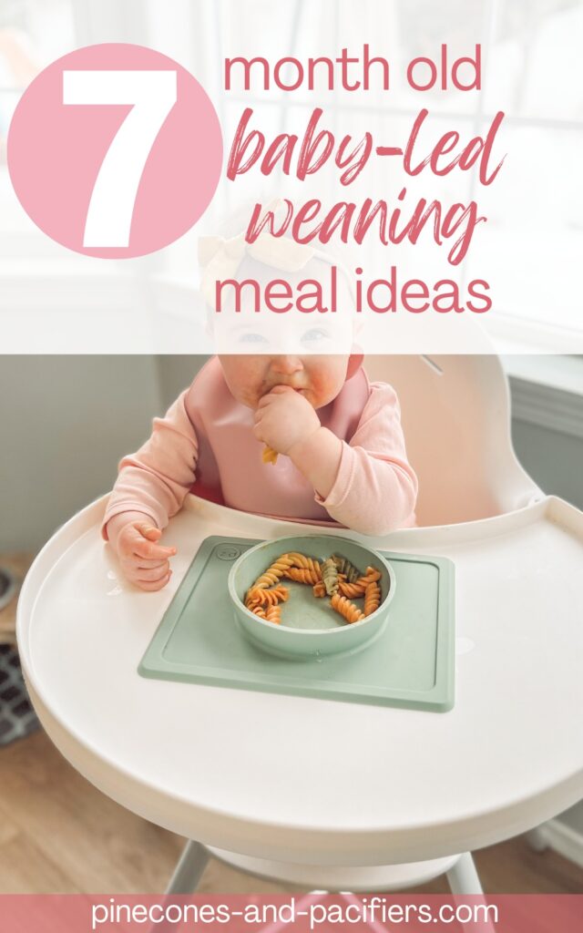 7 Month Old BabyLed Weaning Meal Ideas Pinecones & Pacifiers