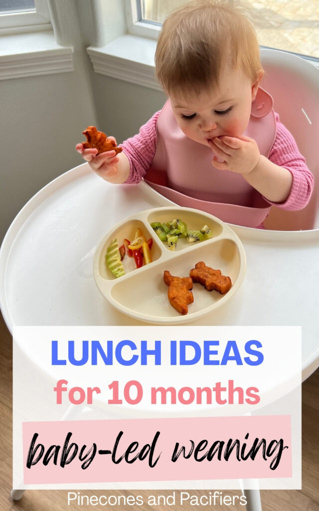 10 month old lunch ideas graphic