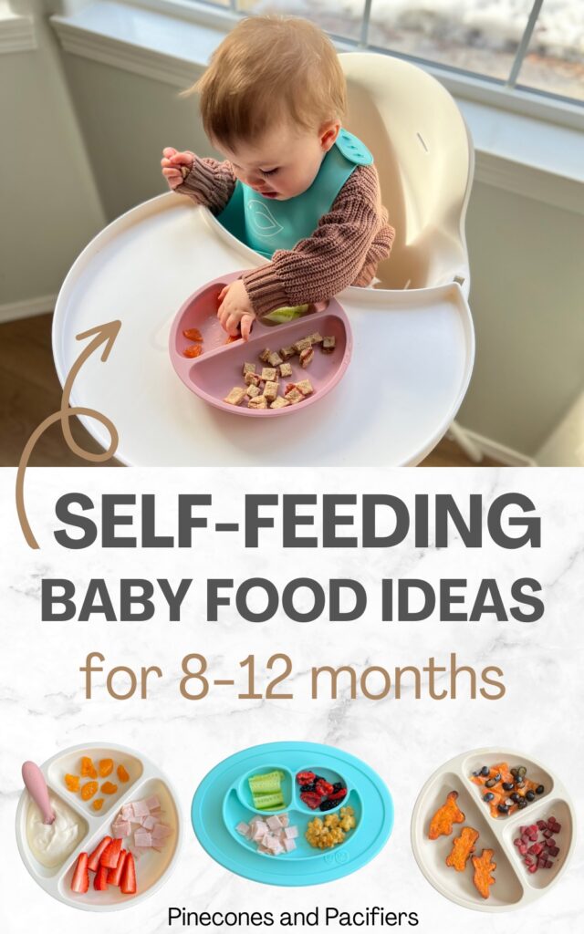 Self-feeding baby food ideas for 8-12 months graphic