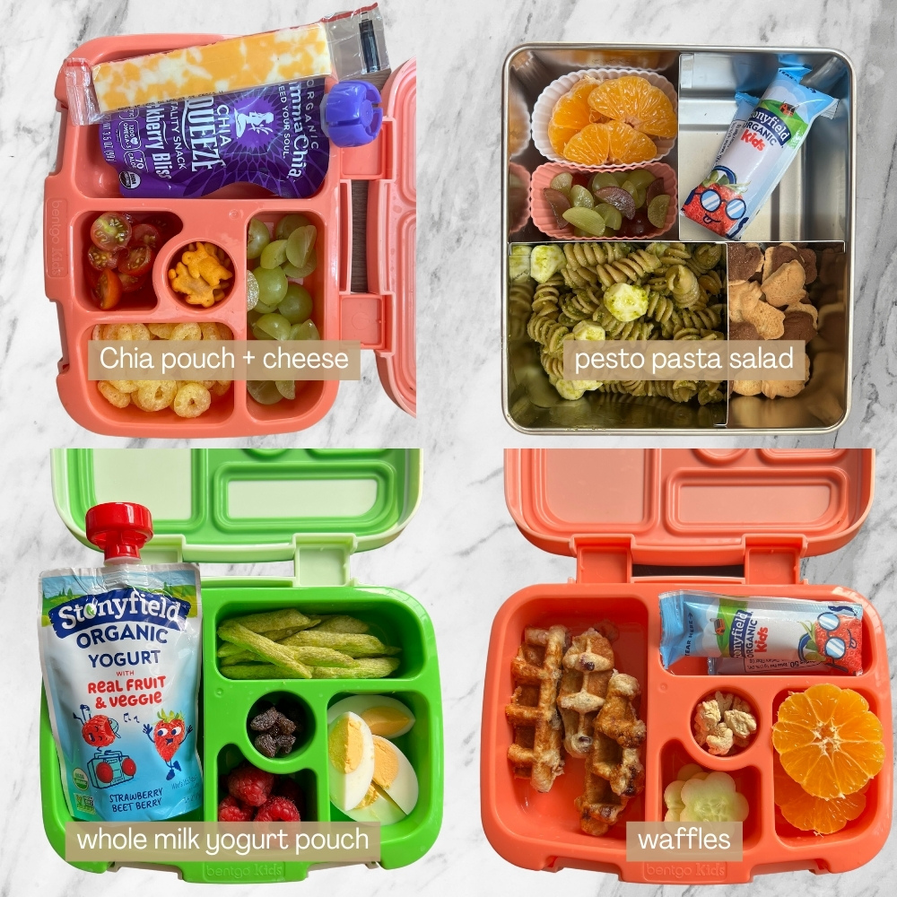 Easy Toddler Lunch box Ideas and recipes for Daycare- Week 1 - Dreaming Loud