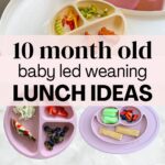Easy lunch ideas for 10 month olds