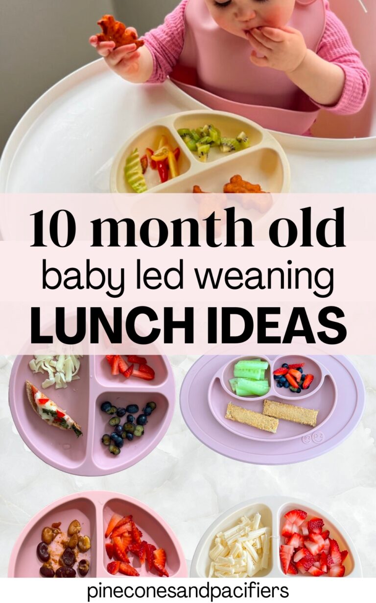 20 Easy Lunch Ideas for 10 Month Olds - Pinecones & Pacifiers